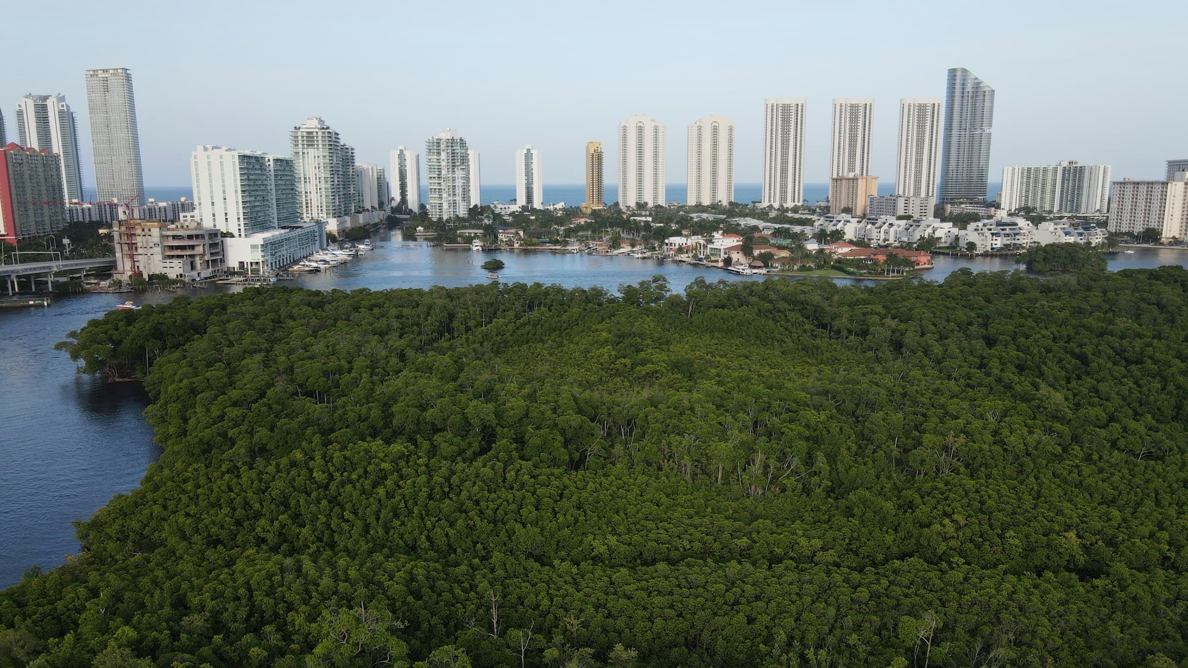 Daylight aerial of the Miami coastline, towers behind mangrove greenery and open ocean